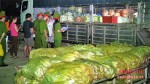 Nghệ An: Rau cải Trung Quốc nhiễm độc thuốc sâu gấp 8 lần