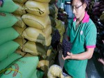 Sự thật đắng trong ly cà phê Việt