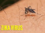 Virus Zika tấn công 17 quận huyện Sài Gòn