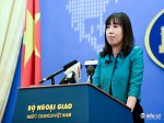 Bộ Ngoại giao: Tước quốc tịch Phạm Minh Hoàng theo đúng pháp luật Việt Nam