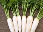 Củ cải trắng bổ dưỡng và trị được nhiều bệnh