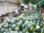 Nông sản Việt ùn ứ tại cửa khẩu, Bộ Công Thương gửi công thư cho phía Trung Quốc