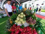 8 tháng đầu năm Việt Nam có 7 loại nông sản đạt giá trị xuất khẩu trên 2 tỉ USD