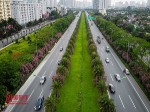 Vụ 'thổi giá cây xanh' Hà Nội: Đường đi của cây trồng nhập lậu từ Trung Quốc