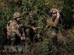 NATO đẩy nhanh quy trình gia nhập liên minh quân sự của Ukraine