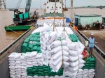 Thế giới thiếu 7 triệu tấn gạo, cơ hội cho Việt Nam